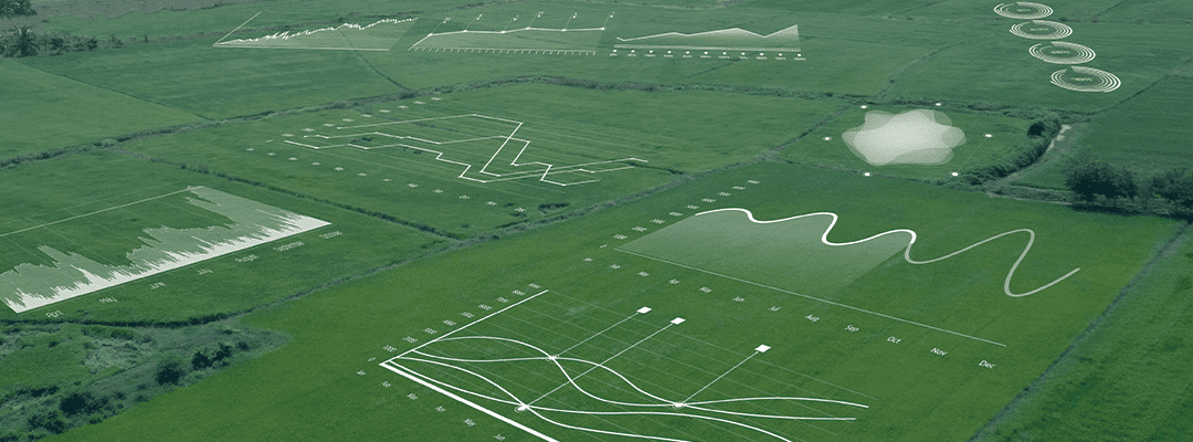 field with analytics