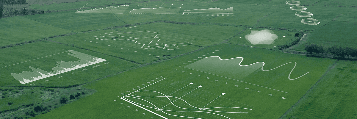 field with analytics