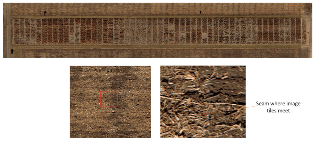 rgb image dgr field 