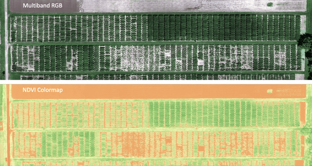 NDVI color map dgr