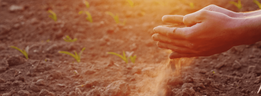 How can regenerative ag help boost soil fertility?