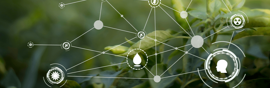 Improving the practice of plant breeding with aerial drone technology