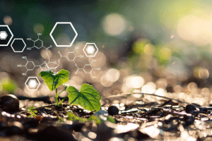 Key use cases for remote sensing for plant phenotyping