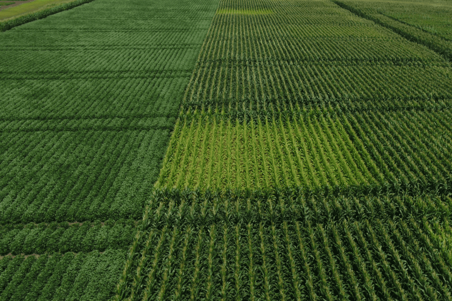 Why does ag data matter for research? Learn more in our webinar