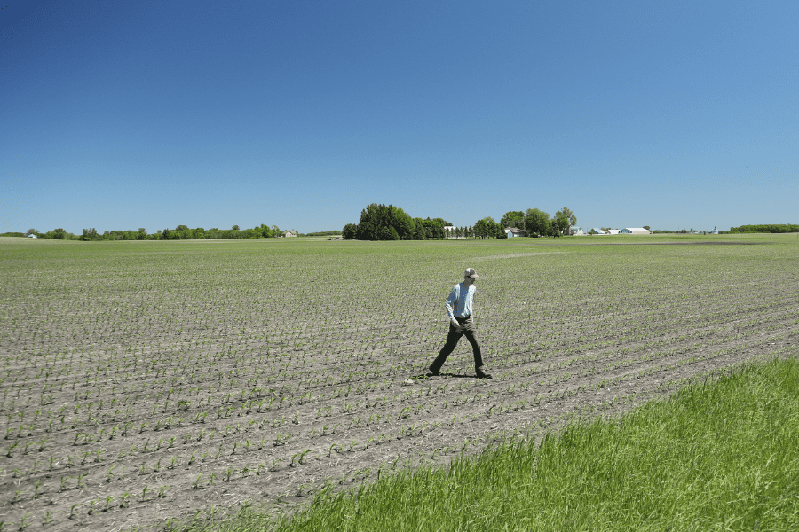 Unlock the value of Stand Count with drone technology