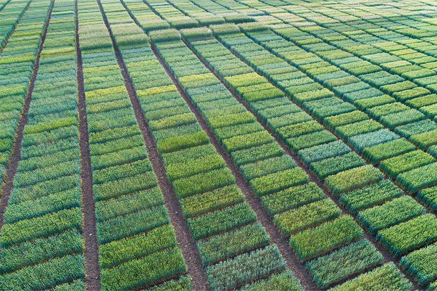 Evaluate plot quality to make plot deactivation decisions