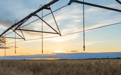 Smart Irrigation: Powering Through the Drought