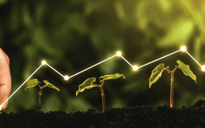 Is Sustainable Agriculture a Catalyst for Profitability?