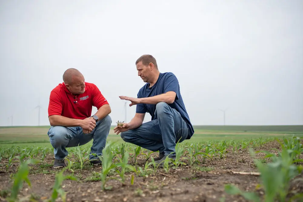 SmartScript™ Weeds Discussing SmartScript™ Weeds